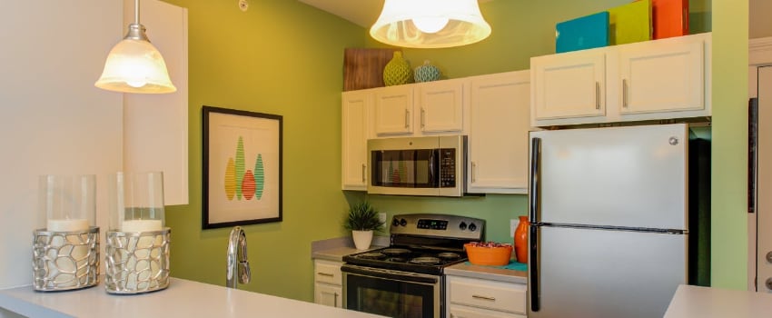 Kitchen in a Sylvania apartment